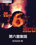 重案六组第二部原著