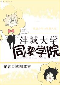 崖城共有多少所大学和学院