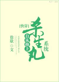 自从换上杀生丸系统