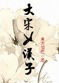 大宋女汉子百度