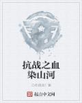 抗战之血染山河 第178章