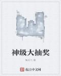 神级抽奖系统有声