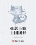 亚瑟王及其圆桌骑士团