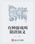 新隋唐演义游戏代码