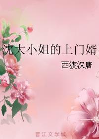 大小姐的上门女婿免费