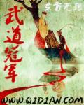 武道冠军 东方无痕