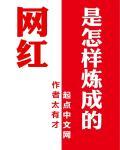 想做网红怎么找公司