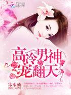 高冷男神甜宠文