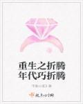 重生之折腾年代巧折腾txt书包网