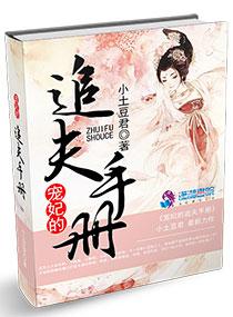 宠妃手册攻略