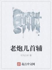 老炮儿简介