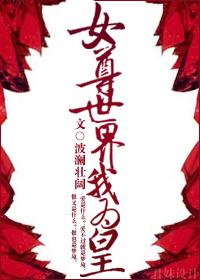 女尊世界的男人们阅读