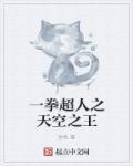 一拳超人天空王什么等级