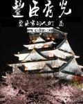 丰臣秀光免费阅读