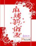 麻辣娇妻惹不得