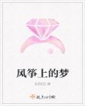 我的风筝梦作文