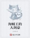 海贼王剑豪大将