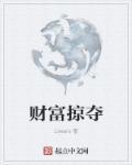 统治阶级财富掠夺