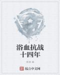浴血抗战十四年电视剧