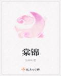 棠锦盘