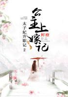 太子妃升职记公主上嫁记免费