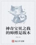 神奇宝贝之我是馆主
