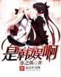 韩娱是怎样的