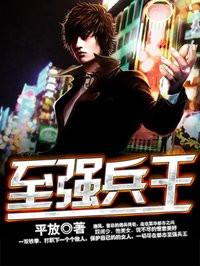 都市至尊兵王秦城