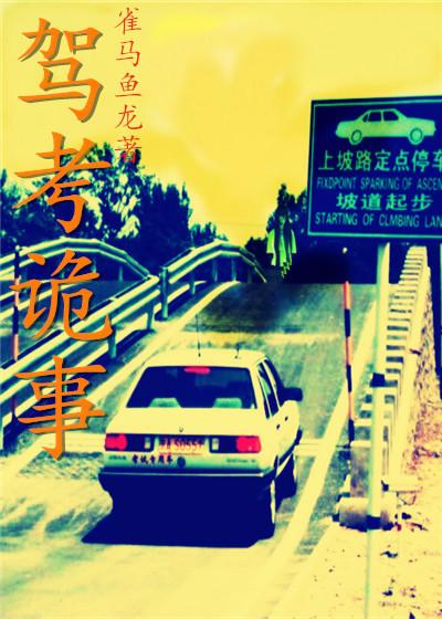 驾考车祸视频