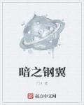 钢铁之翼破解版