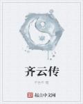 齐云传奇插件