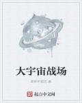 大宇宙公司是做什么的