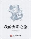 我的火影之旅果然有问题txt