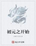 初元两种有什么区别