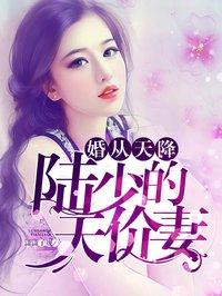 陆少的天价宠妻简汐