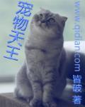 宠物天王免费阅读 新笔趣
