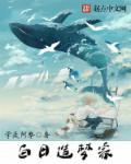 肖鹤云白日造梦