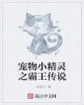 霸主神奇宝贝