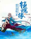 锁魂缘第二部叫什么名字来着