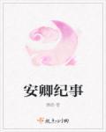 安卿的