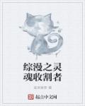 最强灵魂收割者