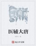 大唐医王txt