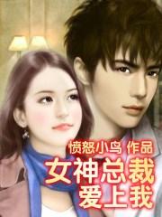 女神总裁爱上我 愤怒小鸟 txt