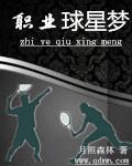 故事职业球星