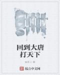 回到大唐打天下txt八零电子书