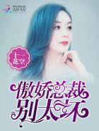 傲娇总裁别太坏全文免费阅读无弹窗