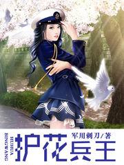 护花兵王秦石