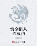 赏金猎人解释