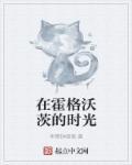 在霍格沃茨的时光太监
