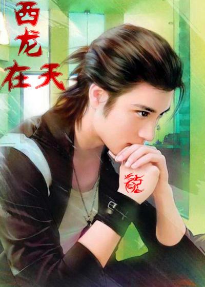 西龙总监